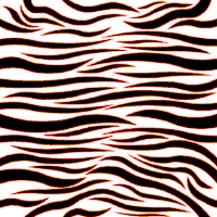 Animated Rainbow Zebra Stripes Pictures, Images & Photos | Photobucket