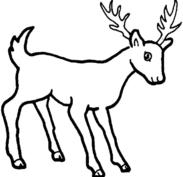 Coloring Pages Draw A Deer - Drawing inspiration