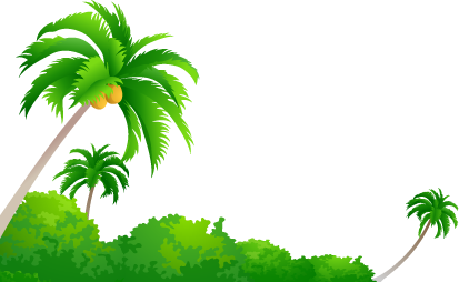 Mewarnai Gambar Pohon Dan Buah Kelapa | Mewarnai Gambar