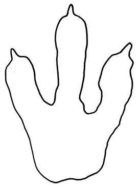 Best Photos of Printable Monster Footprints - Monster Footprint ...