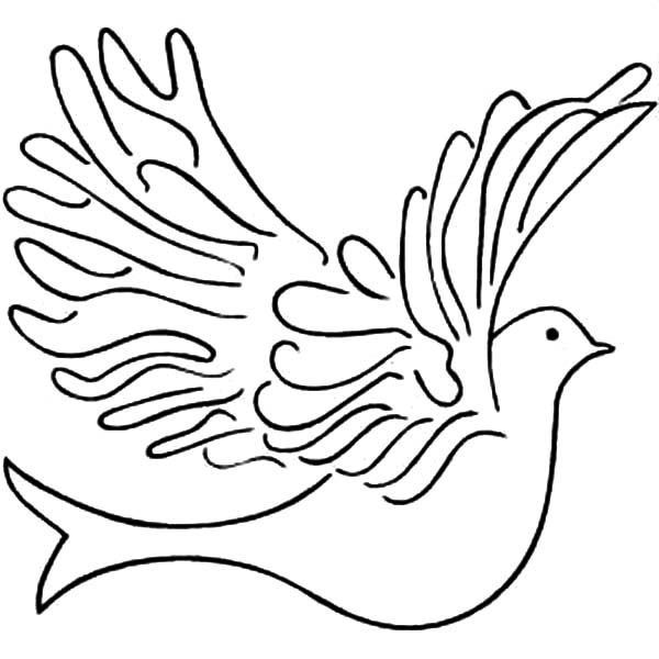 Realistic Dove Coloring 6
