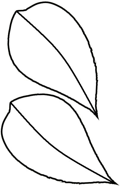 Flower Leaf Template | Free Download Clip Art | Free Clip Art | on ...