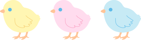 Baby chicks clip art