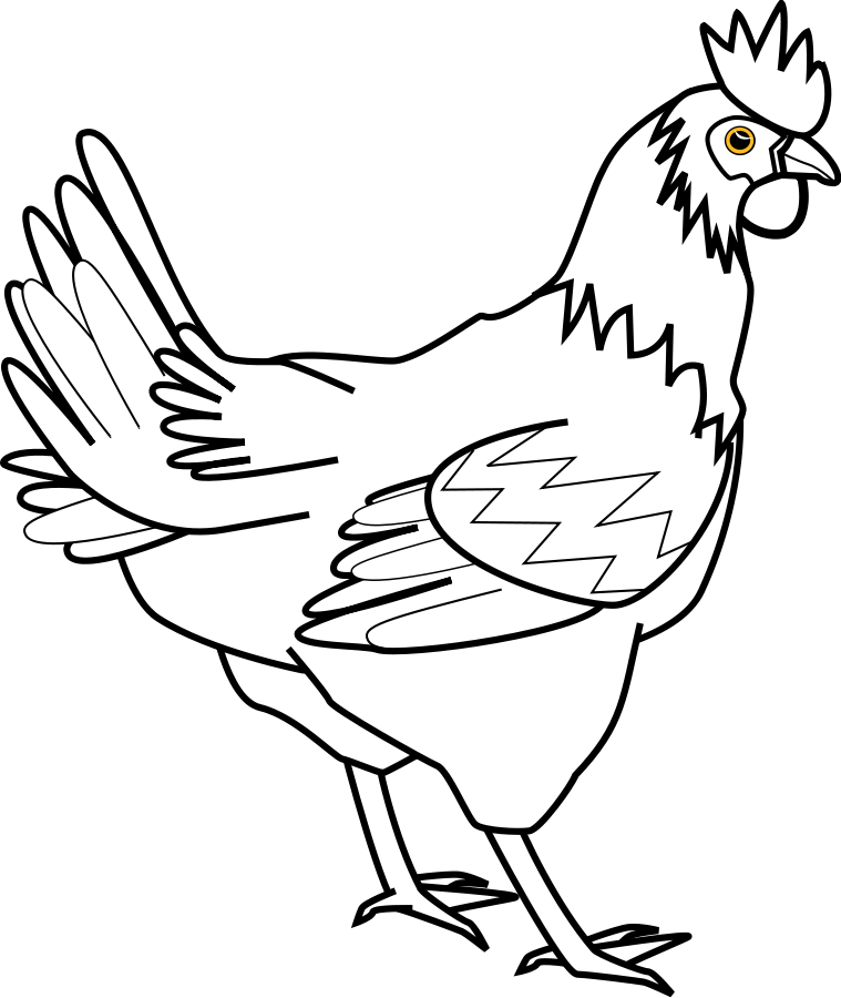 Chicken Vector | Free Download Clip Art | Free Clip Art | on ...