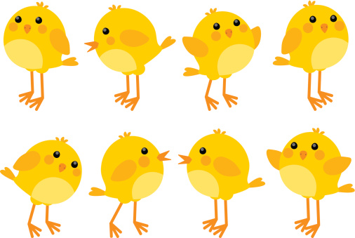 baby chick clip art | Hostted