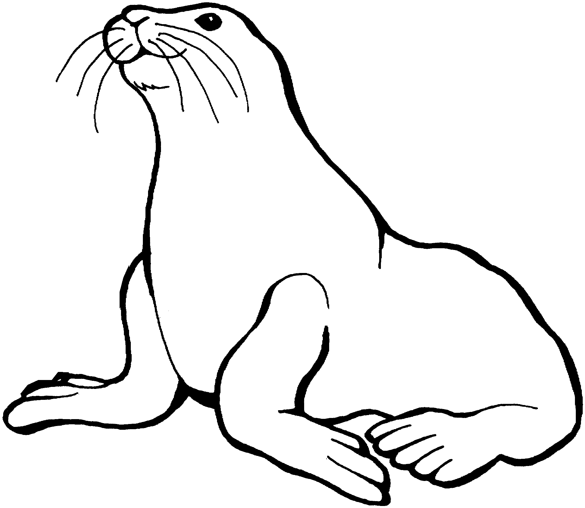 Lion Black And White Clipart