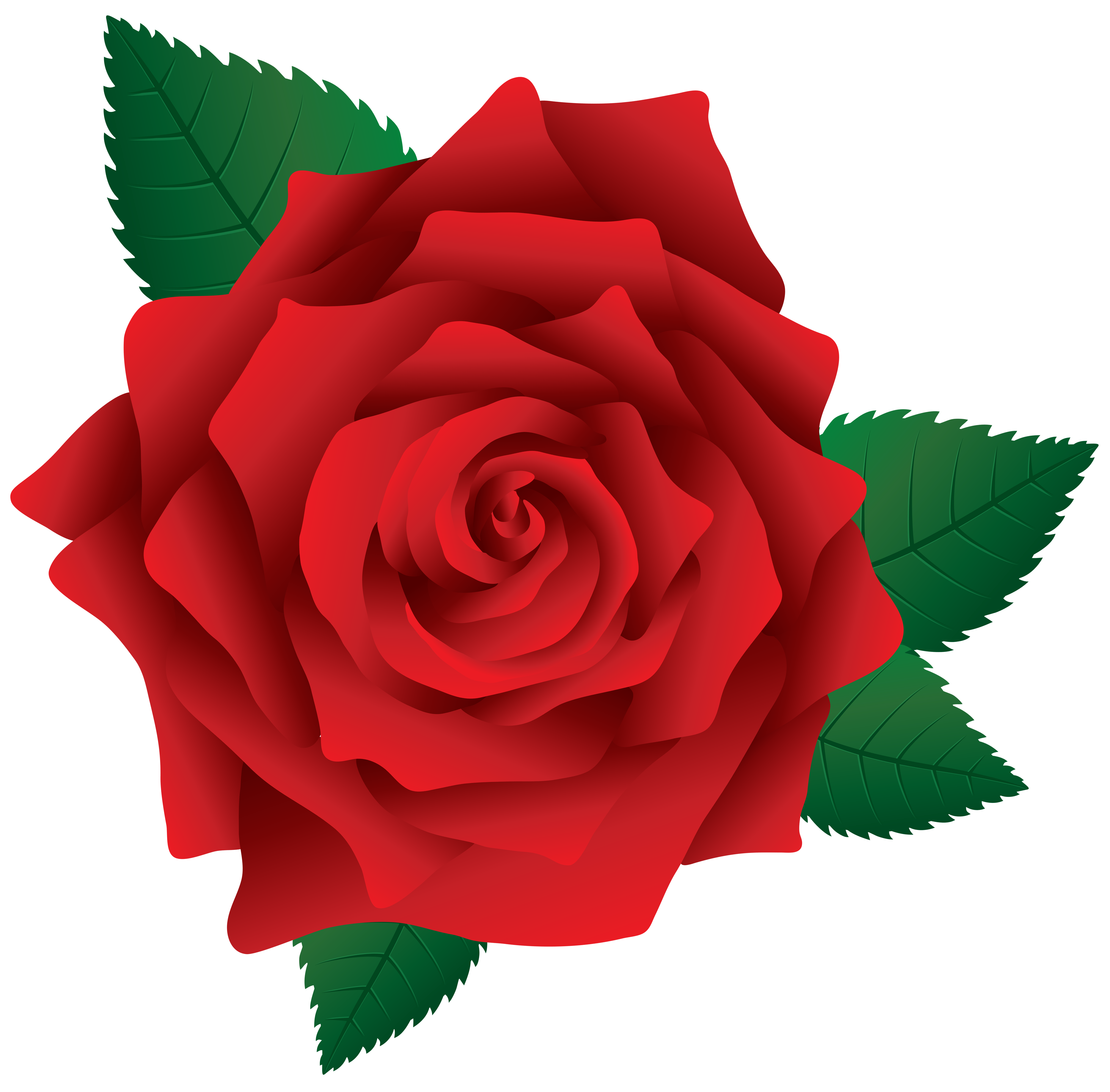 Red Rose PNG Image Clipart
