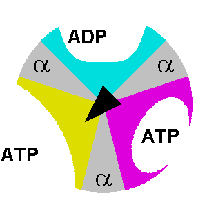 Lecture 20