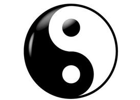 Yin Yang Vector