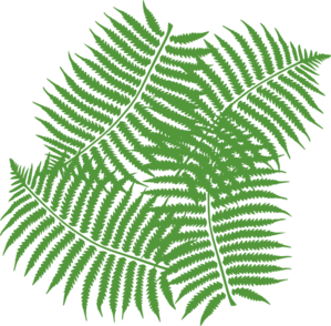 Four Fern Leaves clip art - vector clip art online, royalty free ...