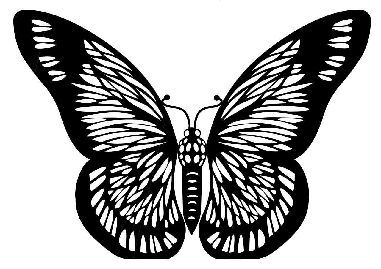 Butterfly Cut Outs
