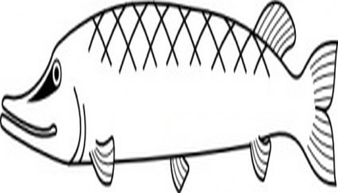 1,507 views Fish Outline Clip Art 2 | Free Vector Download - Graphics,