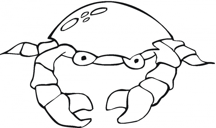 Ocean Animals coloring pictures | Super Coloring