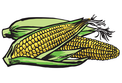 Corn On The Cob Clip Art, Vector Images & Illustrations