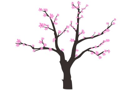cherry blossom tree.jpg