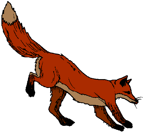 Jackal Clipart