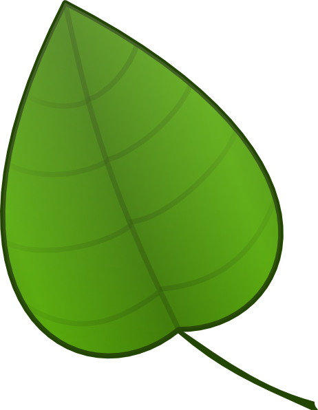 Leaf Outline Template
