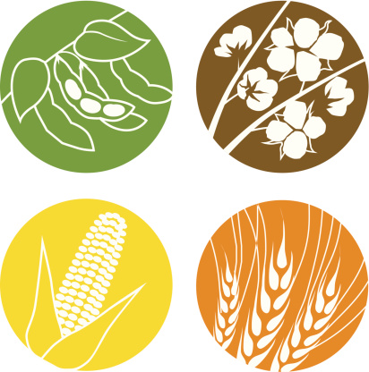 Soybean Clip Art, Vector Images & Illustrations