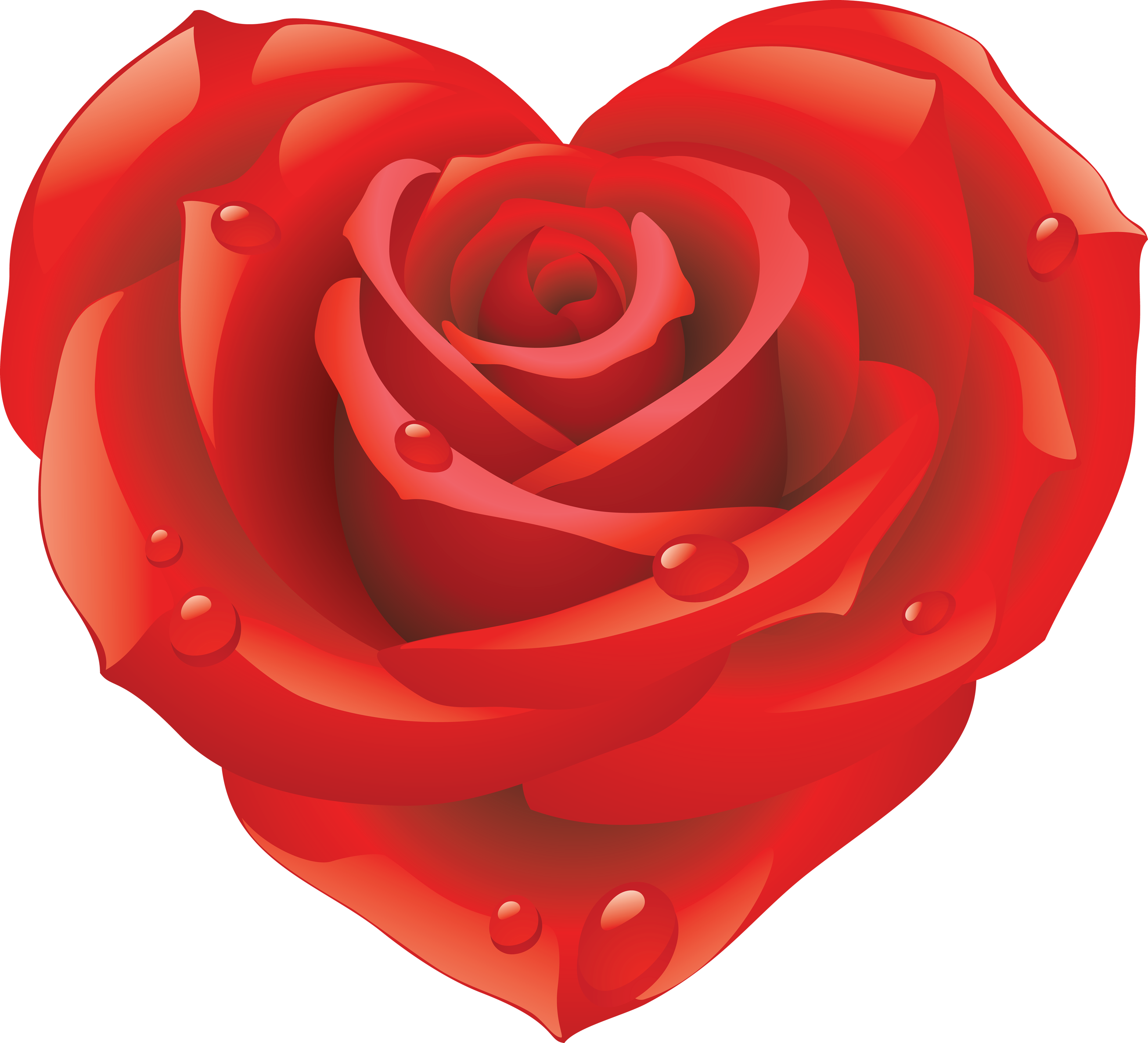 Rose PNG flower images, free download