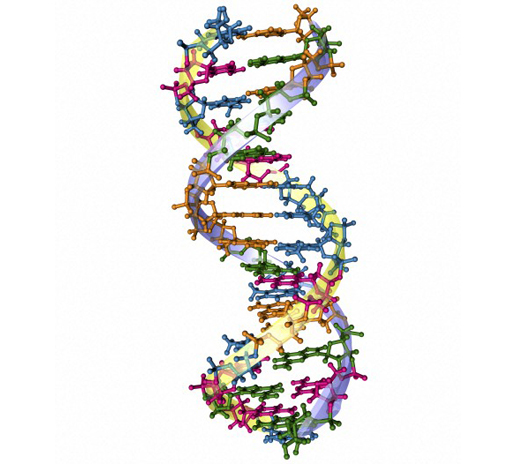 Image gallery | Wellcome Trust