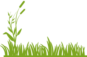Grass clip art - vector clip art online, royalty free & public domain