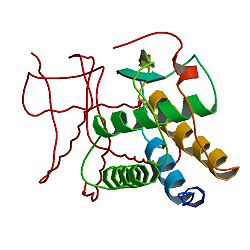 Macrophage colony-stimulating factor