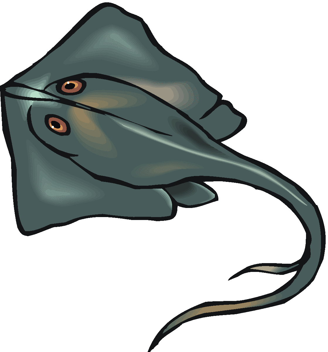 stingray clipart