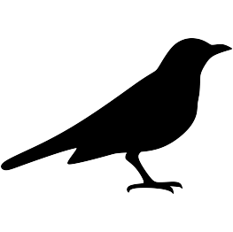 Bird Silhouettes