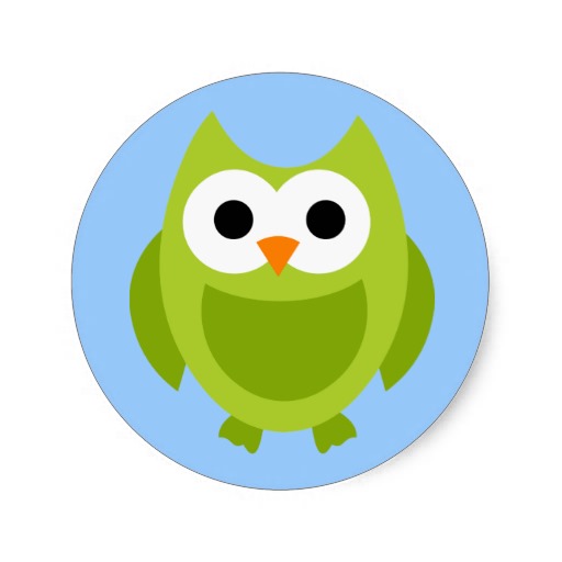 1000+ images about OWLS!