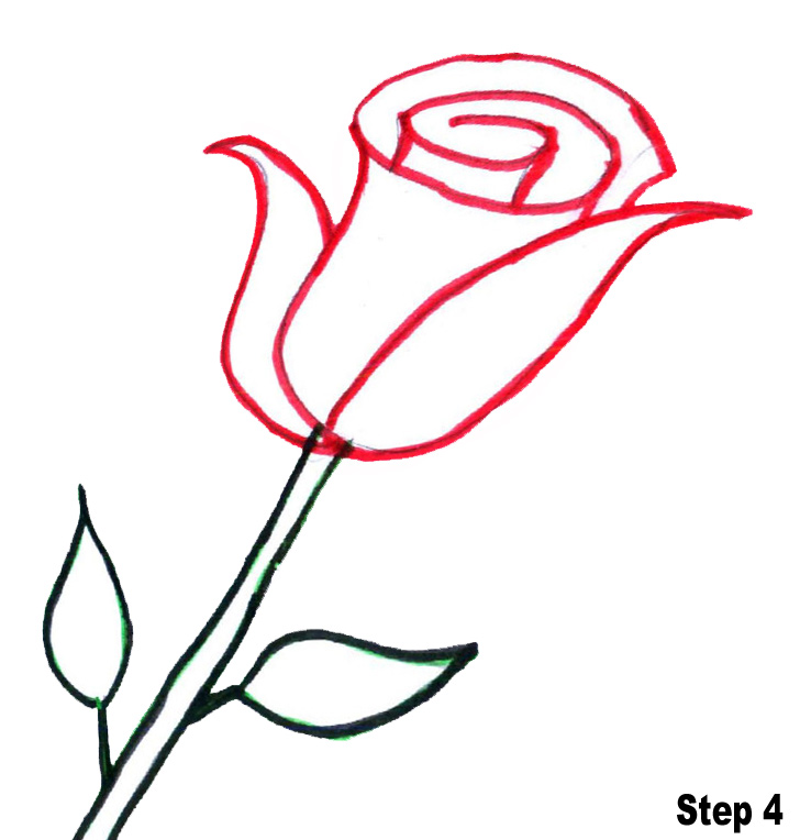 1000+ images about Hand draw Flowers easy on any thing!!