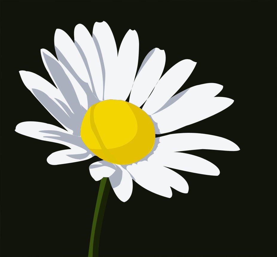Images of Vector Blossom And Daisy Ornaments By Createfirst Toon ...