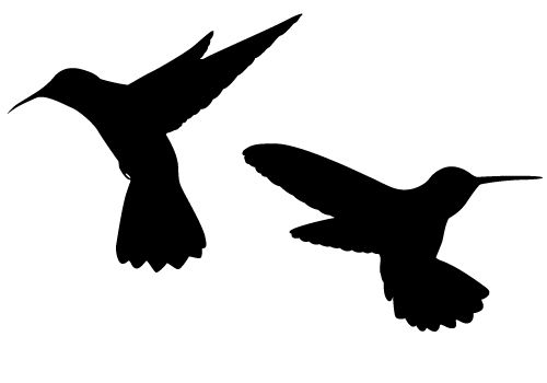 Hummingbird Clipart