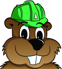 Tree Services - Durango Colorado - Woodchuck Tree Service