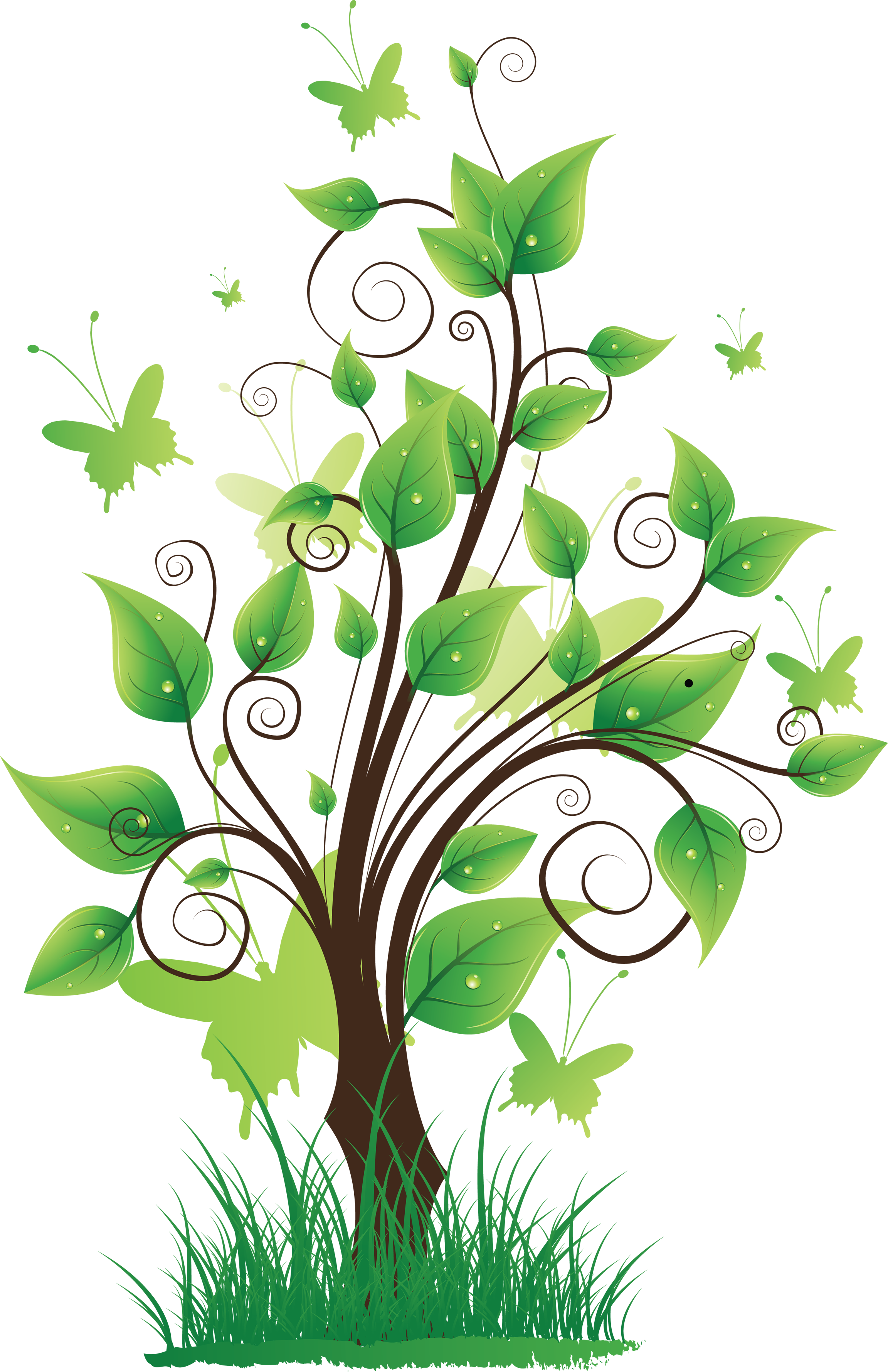 Tree png images, pictures, download free