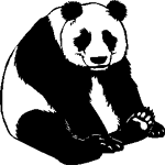 Bear Stickers | Bear Decals - Car Stickers