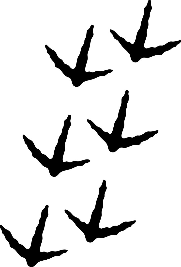 Turkey Tracks Clipart - ClipArt Best