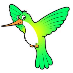 How to Draw Cartoon Birds