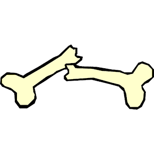 Bone Clipart - 77 cliparts
