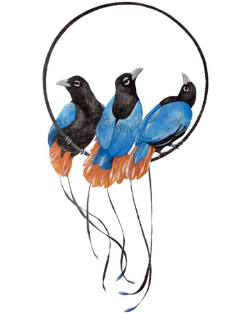 1000+ images about My Drawings | Peacocks, Birds and ...