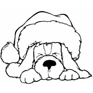 Sleeping Dog In Santa Hat Coloring Page