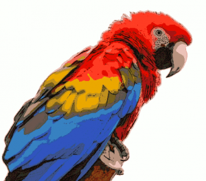 Macaw Clipart - Tumundografico