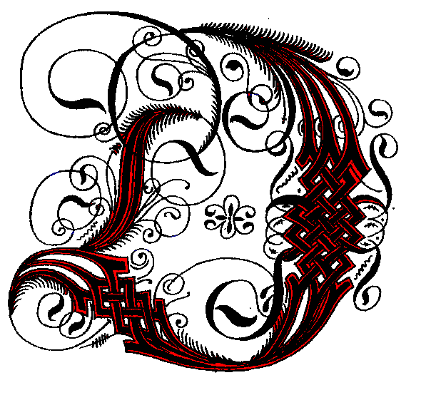d letter images