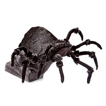 Animated Halloween Decorations - Animated Witch, Animated Bat ...
