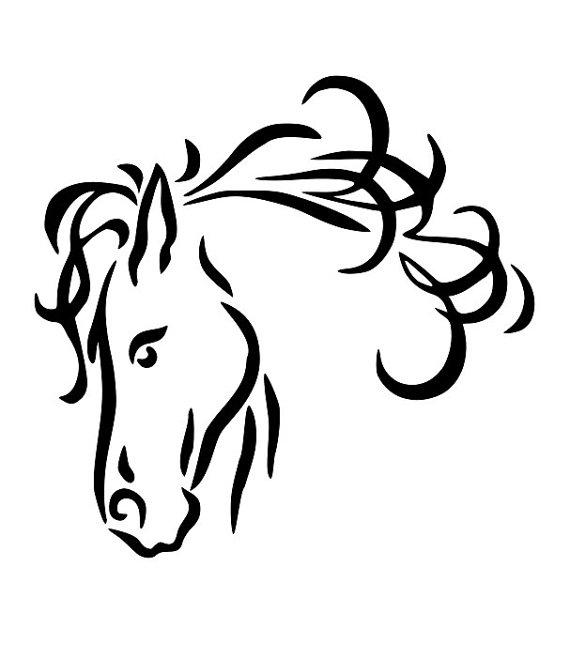 Beautiful Horse head Vinyl Decal car Wall by vinylexpressions129