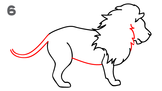 How To Draw a Lion - Step-by-Step