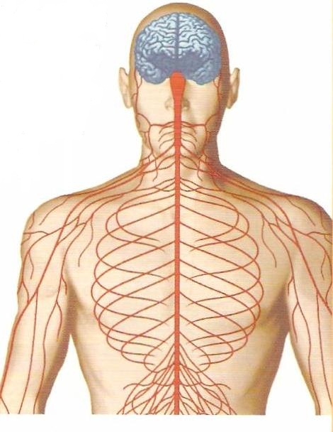 Science & Fun: September 2012