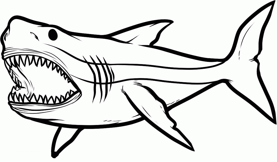 Print Coloring Pages Of Sharks 6