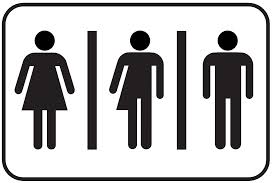 Bathroom Politics: Preserving the Sanctity of the 'Ladies' Room ...