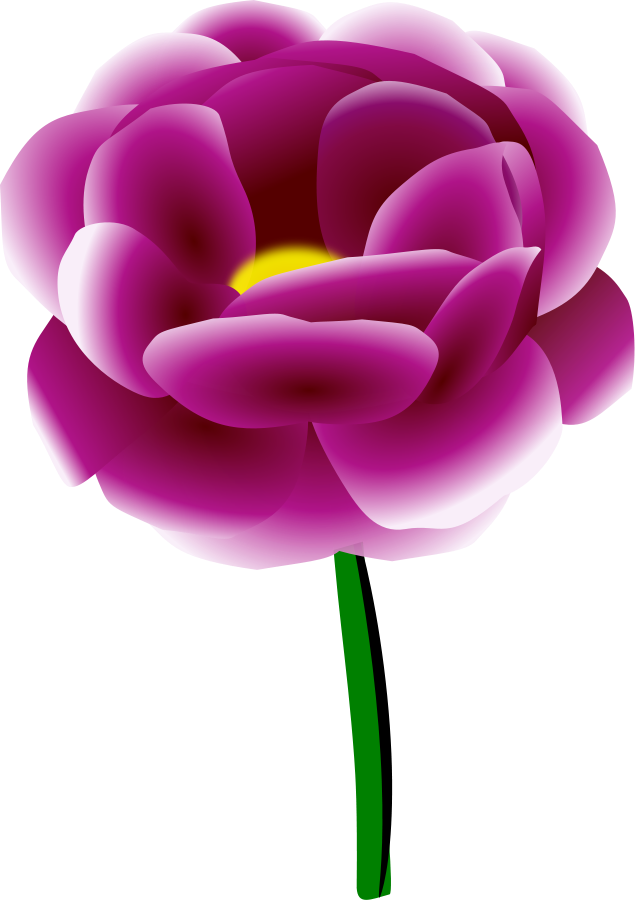 Peony Clip Art