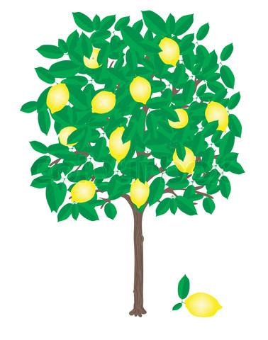 Lemon Tree Clipart | Free Download Clip Art | Free Clip Art | on ...